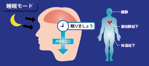 メラトニン